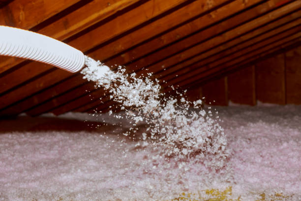 Best Specialty Insulation in Nashwauk, MN