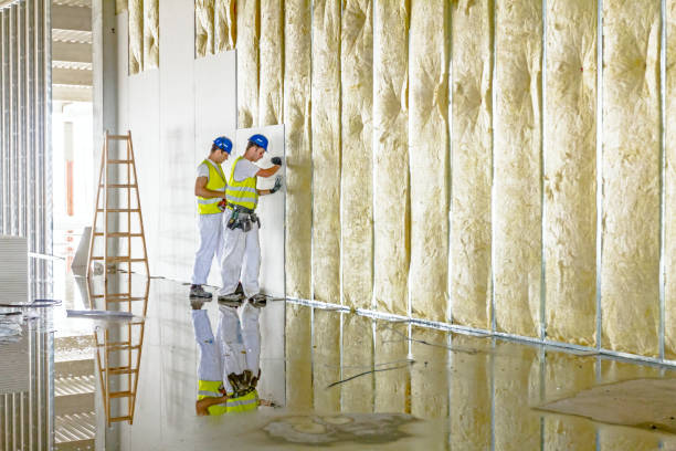 Best Insulation Maintenance and Repair in Nashwauk, MN